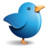 twitter bird Icon